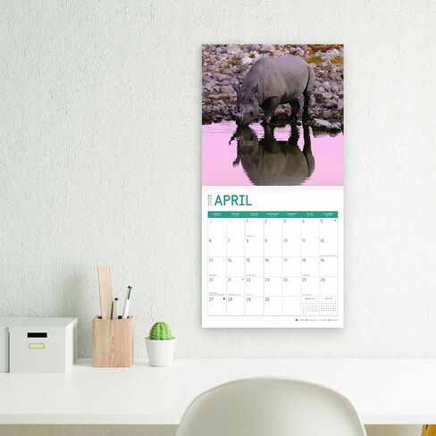 Bright Day Calendars 2025 Rhinos Monthly Wall Calendar - Cute Nature Photography Gift (12 x 12 Inch) in Saudi Arabia