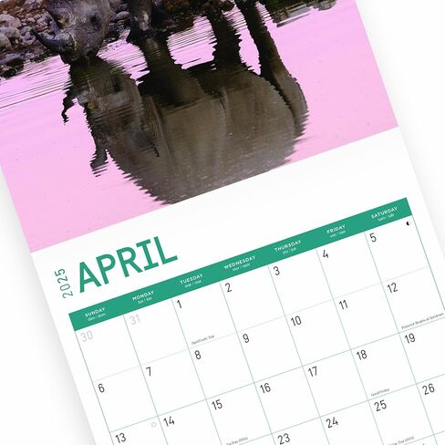 Bright Day Calendars 2025 Rhinos Monthly Wall Calendar - Cute Nature Photography Gift (12 x 12 Inch) in Saudi Arabia