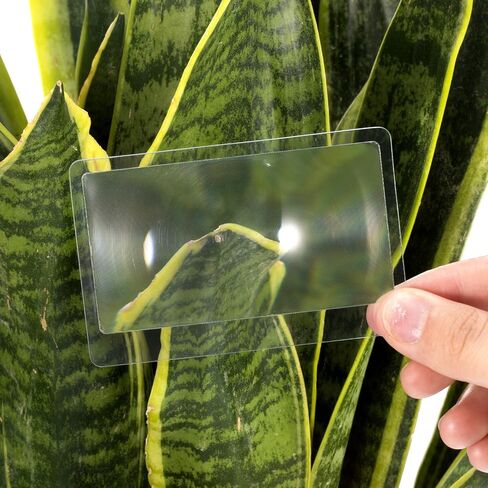 Hestya 20 PCS 3x Fresnel Lens Bulk Crex Card Machifier Size Pocket Wallet Machifier Card Card Thin Tran in Kuwait