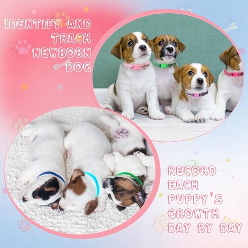 44Pcs Striped Dog Collar and Leash Set with Puppy ID Whelping Collars Quick Release Adjustable Dog Collar Hook and Buckle Colored Soft Nylon Puppy Collars Leashes for Litter Small Medium Dog in Saudi Arabia