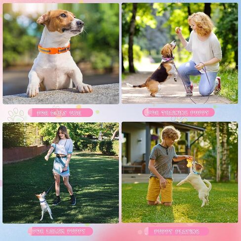 44Pcs Striped Dog Collar and Leash Set with Puppy ID Whelping Collars Quick Release Adjustable Dog Collar Hook and Buckle Colored Soft Nylon Puppy Collars Leashes for Litter Small Medium Dog in Saudi Arabia