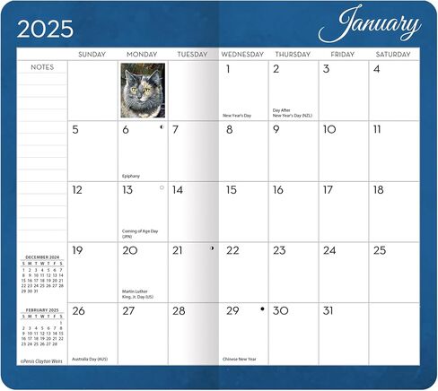 LANG Love of Cats 2025 Two Year Planner (25991071074) in Saudi Arabia