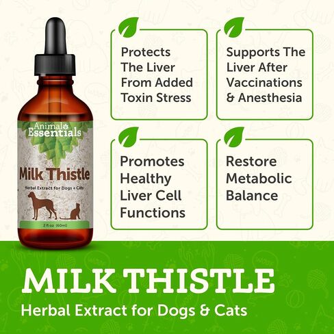 Animal Essentials Milk Thistle for Dogs & Cats - Liver Health Support, Herbal Extract, Liver Care Supplement, Organic Liquid Drops - 2 Fl Oz in Kuwait