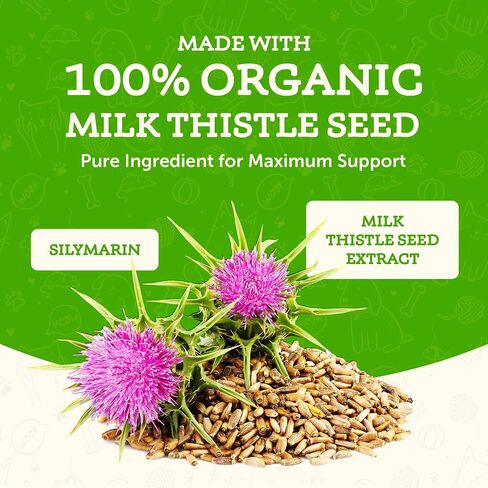 Animal Essentials Milk Thistle for Dogs & Cats - Liver Health Support, Herbal Extract, Liver Care Supplement, Organic Liquid Drops - 2 Fl Oz in Kuwait