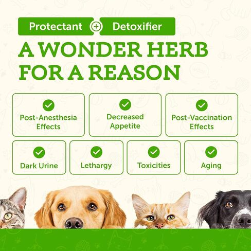 Animal Essentials Milk Thistle for Dogs & Cats - Liver Health Support, Herbal Extract, Liver Care Supplement, Organic Liquid Drops - 2 Fl Oz in Kuwait