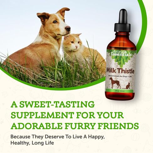 Animal Essentials Milk Thistle for Dogs & Cats - Liver Health Support, Herbal Extract, Liver Care Supplement, Organic Liquid Drops - 2 Fl Oz in Kuwait