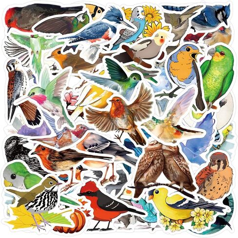 Colorful Birds Stickers Cute Animal Stickers for Kids Teens Adults, Eikecy Cool Stickers for Water Bottles Laptop Luggage Vinyl Waterproof Decals Kawaii Stickers(55PCS) in Saudi Arabia