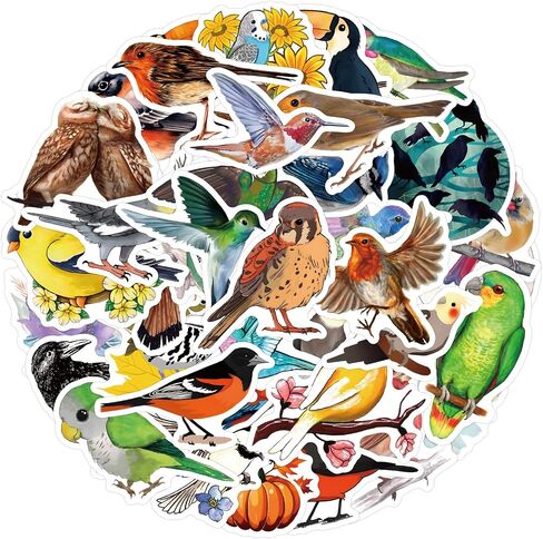Colorful Birds Stickers Cute Animal Stickers for Kids Teens Adults, Eikecy Cool Stickers for Water Bottles Laptop Luggage Vinyl Waterproof Decals Kawaii Stickers(55PCS) in Saudi Arabia