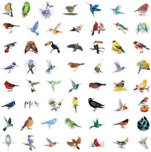 Colorful Birds Stickers Cute Animal Stickers for Kids Teens Adults, Eikecy Cool Stickers for Water Bottles Laptop Luggage Vinyl Waterproof Decals Kawaii Stickers(55PCS) in Saudi Arabia