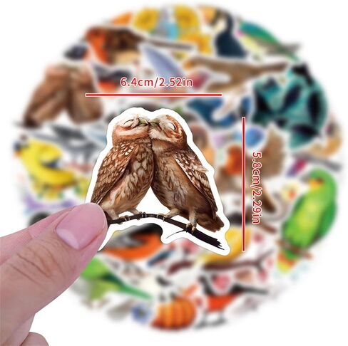 Colorful Birds Stickers Cute Animal Stickers for Kids Teens Adults, Eikecy Cool Stickers for Water Bottles Laptop Luggage Vinyl Waterproof Decals Kawaii Stickers(55PCS) in Saudi Arabia