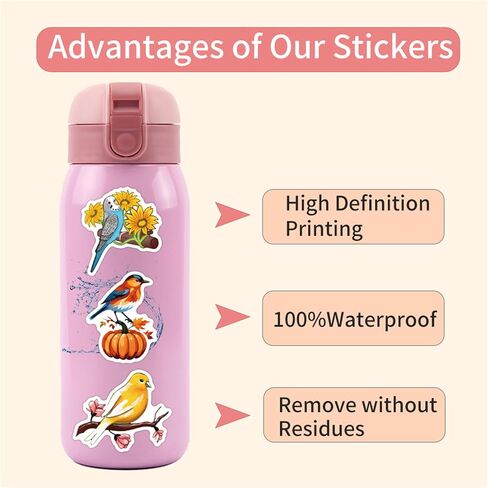 Colorful Birds Stickers Cute Animal Stickers for Kids Teens Adults, Eikecy Cool Stickers for Water Bottles Laptop Luggage Vinyl Waterproof Decals Kawaii Stickers(55PCS) in Saudi Arabia
