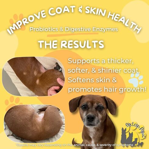 Probiotics, Prebiotics, & Digestive Enzymes for Dogs| Limited Ingredients| Organic |Digestive Support |Allergy Relief |Immune Support| Reduces Inflammation| Diarrhea & Gas Relief in Kuwait