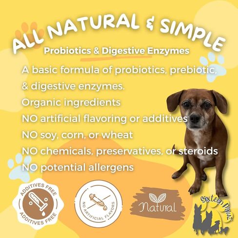 Probiotics, Prebiotics, & Digestive Enzymes for Dogs| Limited Ingredients| Organic |Digestive Support |Allergy Relief |Immune Support| Reduces Inflammation| Diarrhea & Gas Relief in Kuwait
