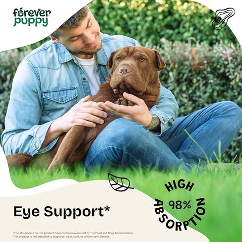 Vision Supplements for Dogs - Eye Tincture w/Bilberry & Eyebright Herb - All Breeds & Sizes - Liquid Dog Food Supplements for Vision Support & Eye Clarity - Sugar & Alcohol-Free - 2 oz in Saudi Arabia