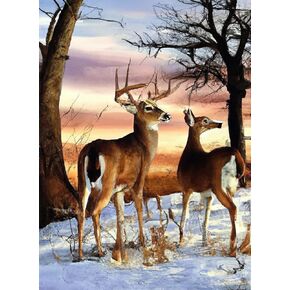 Kaliosy 5d Diamond Art Painting Elk by Number ، Paint with Diamonds Art Snow Scene Diy Full Clow ، Crystal Craft Cross Stitch Decoration 30x40cm؟ 12x16inch؟