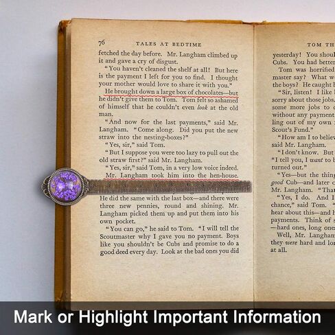 Wisdompro 2 PCS Metal Longmark ، Retro Vintage Book Book Mark Ruler مع زهرة مجففة ، معبأة في صندوق هدايا - هدية مثالية للأطفال والطلاب والمعلمين ومحبي الكتب - Blue & Purple in Kuwait