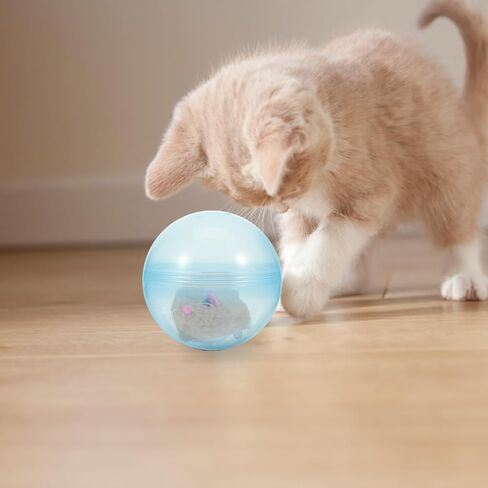 ibasenice 2pcs Interactive Cat Toy Running Ball, Electronic Hamster Ball for Cats, Automatic Teaser, Multi-Color, 9.44x4.72inch in Saudi Arabia
