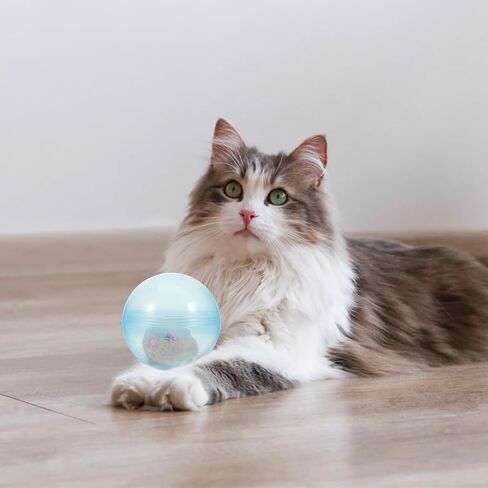 ibasenice 2pcs Interactive Cat Toy Running Ball, Electronic Hamster Ball for Cats, Automatic Teaser, Multi-Color, 9.44x4.72inch in Saudi Arabia