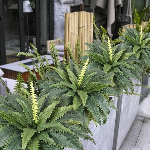 سرخس اصطناعي من Dremisland للأماكن الخارجية، مجموعة من باقتين 30 بوصة بقطر سرخس كبير مزيف بوعاء أو معلق سرخس بوسطن الاصطناعي | شجيرات نباتات وهمية لتزيين المنزل والحديقة والشرفة والمزرعة (قطعتان) in Saudi Arabia