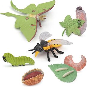 Life Cycle of a Luna Moth and Bee - 8PCS Lifecycle Set Miniature Insect Lifecycle Collection Realistic Moth Family Educational Toy Figurines for Boys,Girls,Kids