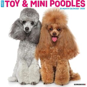 Toy & Miniature Poodles 2025 12" x 12" Wall Calendar