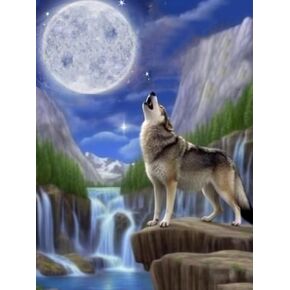 Skryuie 5D Diamond Paint Wolf and Eagle Plant Drill Paint مع مجموعات فن الماس للبالغين ، لوحة Wolf DIY Moon -Lolf by Number Kits Rhinestone Wall Decor