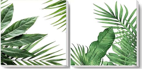 TINDAY 2 Pack Framed Paint by Number for Adults Paint by Numbers Paint by Number Framed DIY Canvas Painting by Numbers Green Plants Acrylic Painting for Home Wall Painting Kits for Adults 8x8 Inch in Saudi Arabia