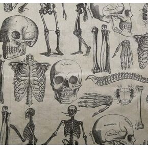 Skeleton Anatomy Halloween Witching Hour Satin Precut Fabric - One Yard