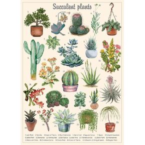 Vintage Succulent Puzzles for Adults 1000 Pieces, House Plants Puzzle Nature Featuring 23 Succulent Plants, Cactus Jigsaw Puzzle Botanical