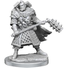 D&D Frameworks: Human Fighter Male - Unpainted and Unassembled