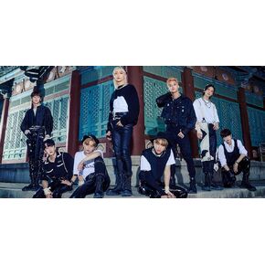 ACOGUT DIY 5D Diamond Painting Kits for Adults and Kids，Full Round Full Drill Diamond Art Kits for Adults，Kpop Stray Kids,by Number Kits Diamond Painting Kits for Home Wall Decor-11.8x15.7inch