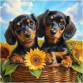 SJUTOUCI Dachshund Diamond Art Painting Kits for Adults, Dog Diamond Art Kits for Beginners, 5D DIY Full Drill Gem Craft for Home Decor Gift 12x12inch/30x30cm