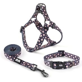 Dog Harness Collar Leash Set - No Pull Pet Adjustable Back Clip Halter Basic Collar Heavy Duty 5FT Anti-Twist Leash for Extra Small Puppy Medium Large Breed Training Running (Daisy, S)