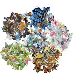 240PCS Butterfly Dragonfly Insects Stickers Set PET Transparent Decorative Decals Scrapbooking Stickers for DIY Crafts Album Bullet Journal Planner Water Bottles Phone Cases Laptops