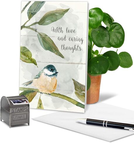The Best Card Company - Lovely Sympathy Card with Envelope - Deepest Heartfelt Condolences, Love and Prayers - Birds of Encouragement C9144JSMG in Kuwait