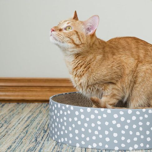 مجموعة Kitty City Cat Jound Round Bed Scratcher ، نمط القط in Saudi Arabia