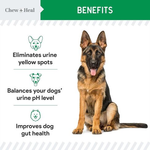 Green Grass Lawn Saver, Dog Urine Neutrelizer, 120 Soft Chews - Reduces Burns and Yellow Spots, Natural Ingredients, Fuss-Free Treatment - Chew + Heal in Kuwait