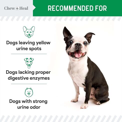 Green Grass Lawn Saver, Dog Urine Neutrelizer, 120 Soft Chews - Reduces Burns and Yellow Spots, Natural Ingredients, Fuss-Free Treatment - Chew + Heal in Kuwait