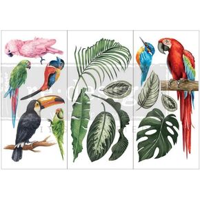 Redesign with Prima - Tropical Birds - Small Transfers 6"x12" 3 Sheets Rub on Transfers for Furniture Vintage Rub on Transfers Stickers for Crafts Classic Spring Summer Autumn Decoration Transfers…