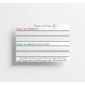 Red Door Inspirations Prayer Request and Praise Cards 3x4 inch - Pack of 50 - Made in the USA! (Blue Prayer Request Praise Cards)
