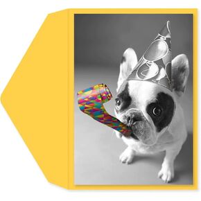 Graphique BFF’s Birthday Card | Funny Card for Best Friend | Embellished with Glitter Accents | Color-Coordinated Envelope | 5" x 7"