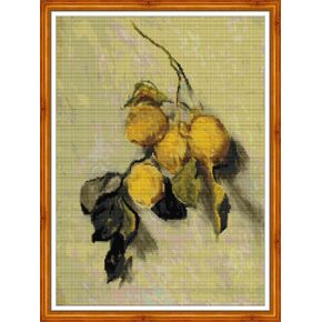 Iuhui 14 Count Cross Cross Stitch Kits للمبتدئين البالغين ، Night Starry of Van Gogh DIY DIY 14CT Entgrofery Starter Kit Kit Needlework Easy Patterns Phoint