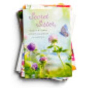 DaySpring - Secret Sister - Sweet Messages - 12 Boxed Cards & Envelopes (12 Design Assortment with Scripture), Multi