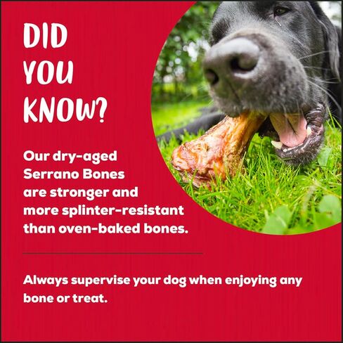 Genuine Serrano Ham Bone, 100% Natural, Dry Aged, for Medium Sized Dogs, Pack of 1 in Saudi Arabia