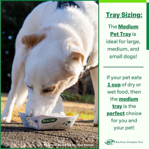 Southern Champion Tray, Medium Disposable Pet Food Bowl, Tray, Purrfect for Feeding Cats and Dogs, Wet Food and Dry Food, Indoor and Outdoor, 1 Cup Capacity, 250 Count in Saudi Arabia