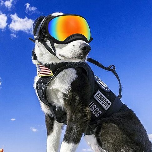 Pacify Dog Goggles for Large Dogs, UV Protection Dog Sunglasses with Adjustable Strap for Medium Large Dog Pet Glasses in Saudi Arabia