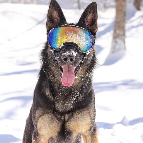 Pacify Dog Goggles for Large Dogs, UV Protection Dog Sunglasses with Adjustable Strap for Medium Large Dog Pet Glasses in Saudi Arabia