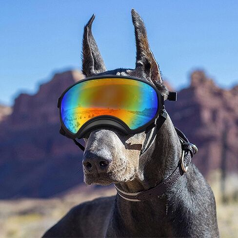 Pacify Dog Goggles for Large Dogs, UV Protection Dog Sunglasses with Adjustable Strap for Medium Large Dog Pet Glasses in Saudi Arabia