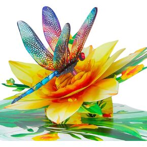 D4DREAM Dragonfly Pop Up Card for Women - Daffodils Flower Pop Up Card 3D Birthday Card for Women Pop Up Mothers Day Card with Envelope Dragonfly Card for Her Wife Mom Grandma