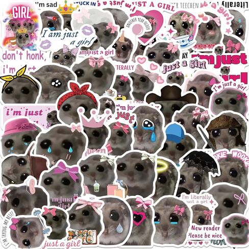 56Pcs I'm Just a Girl Sticker Funny Hamster Meme Sad Cute Stickers for Kids,Aesthetic Waterproof Vinyl Sticker for Laptop Water Bottle Scrapbook Cute Animal Decal Gifts for Girl Teen (Sad Meme) in Saudi Arabia